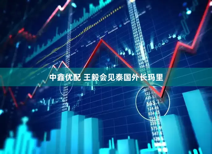 中鑫优配 王毅会见泰国外长玛里