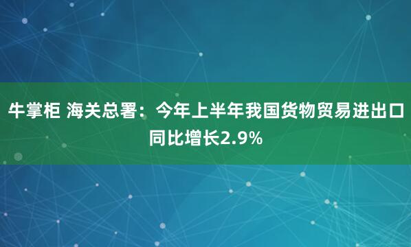 牛掌柜 海关总署：今年上半年我国货物贸易进出口同比增长2.9%