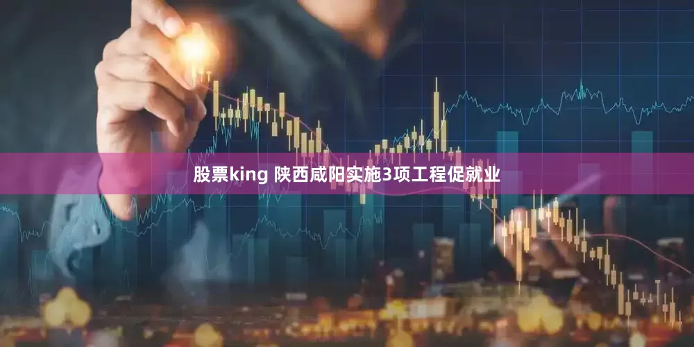 股票king 陕西咸阳实施3项工程促就业