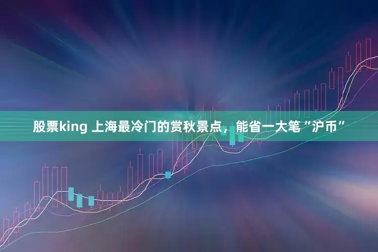 股票king 上海最冷门的赏秋景点，能省一大笔“沪币”